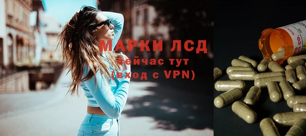 2c-b Ельня