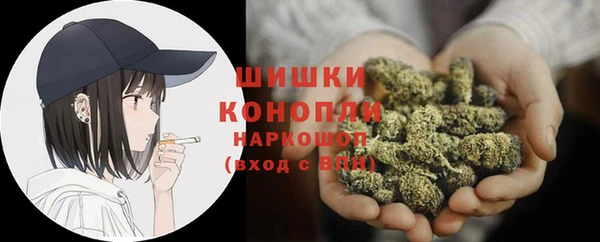 2c-b Ельня