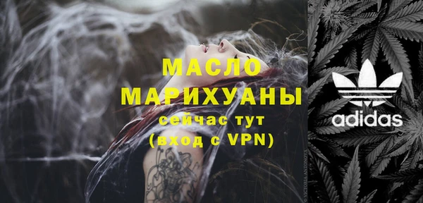 2c-b Ельня