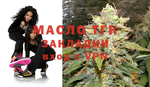 2c-b Ельня