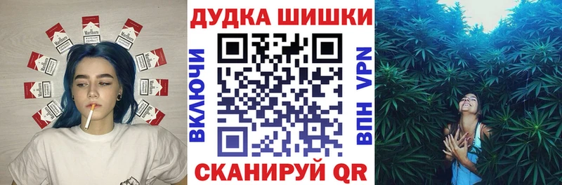 Купить закладки  Нижнеудинск  Бошки Шишки AK-47 